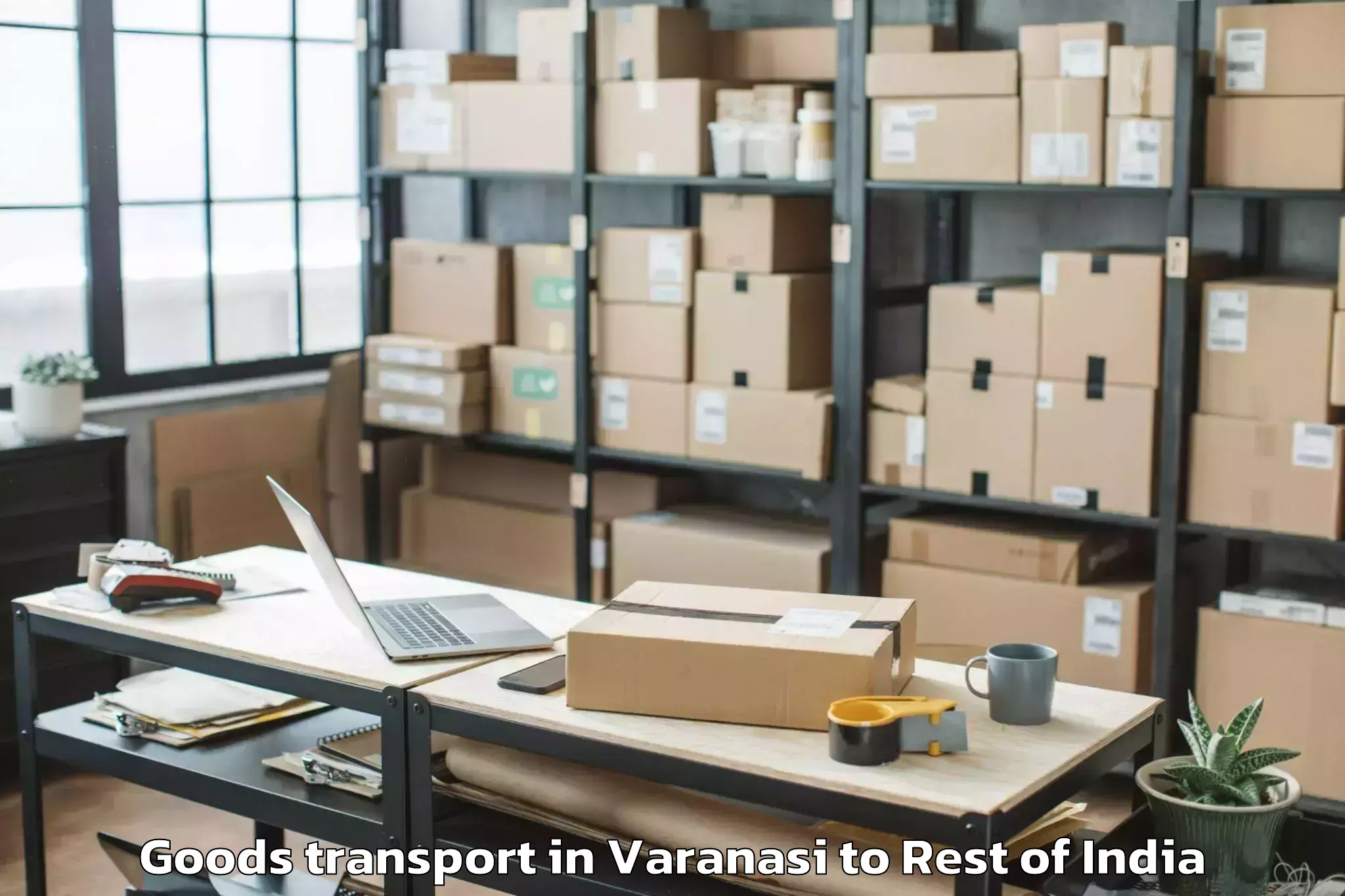 Top Varanasi to Nyapin Goods Transport Available